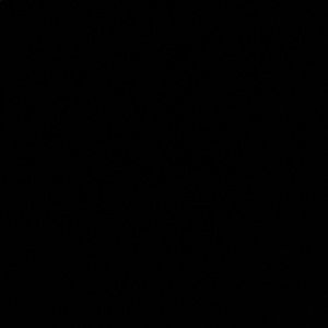 Meet your Posher, Samuel